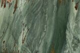 Gary Green Jasper (Larsonite) Bog Wood Slab - Oregon #263358-1